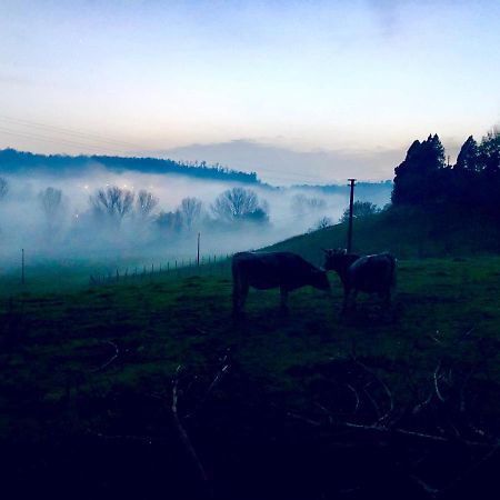 Fattoria Lucciano Villa Borghetto  Екстериор снимка
