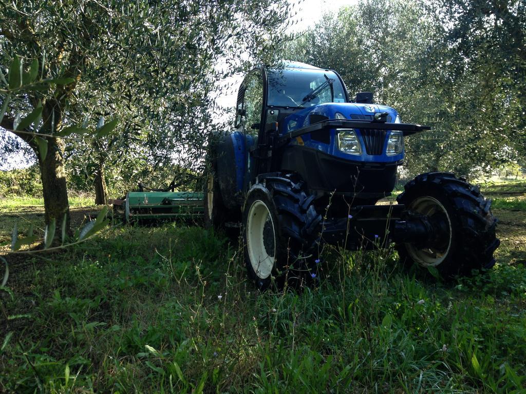 Fattoria Lucciano Villa Borghetto  Екстериор снимка