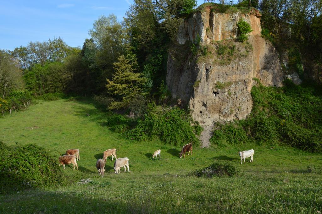Fattoria Lucciano Villa Borghetto  Екстериор снимка