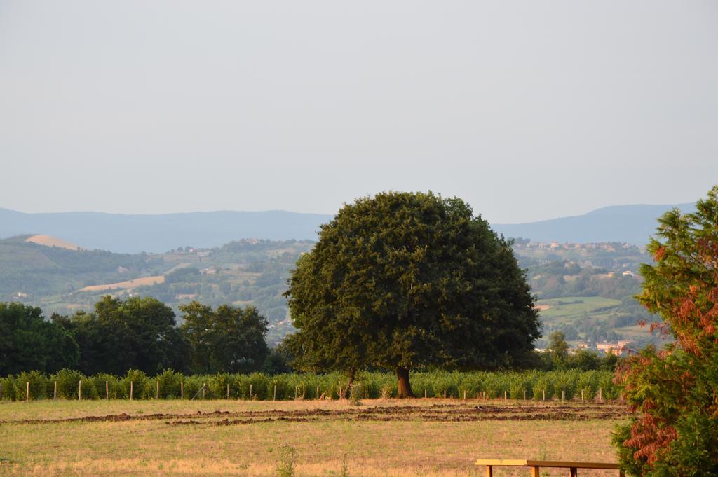 Fattoria Lucciano Villa Borghetto  Стая снимка