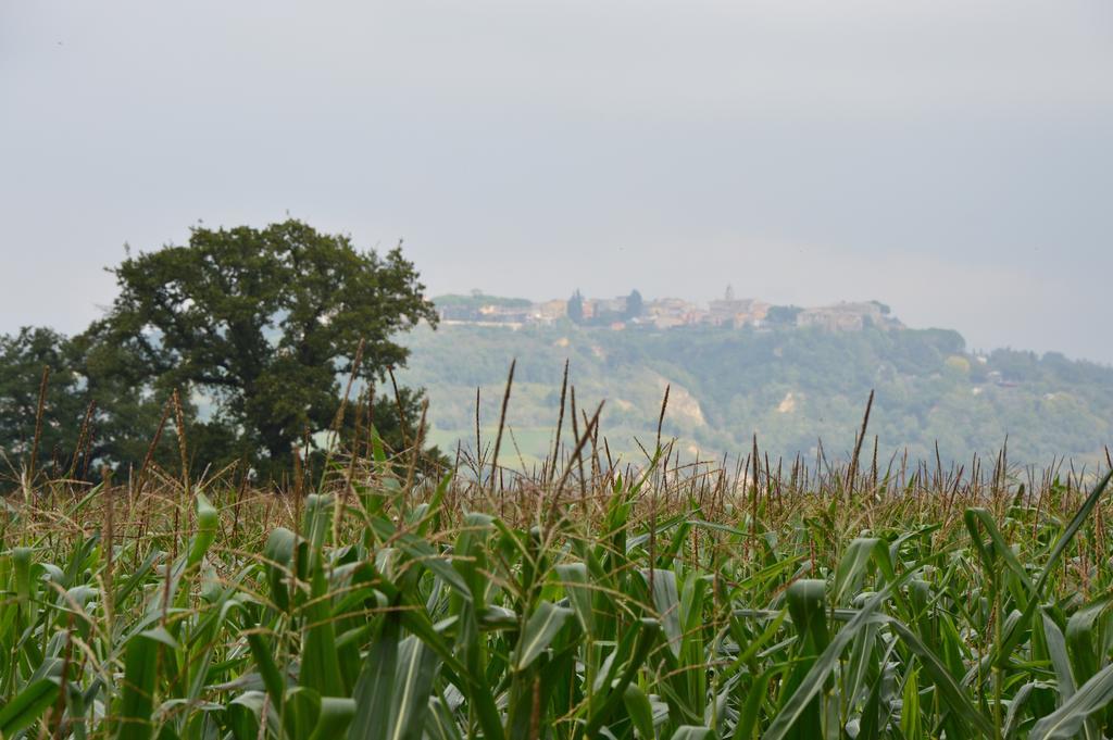 Fattoria Lucciano Villa Borghetto  Екстериор снимка