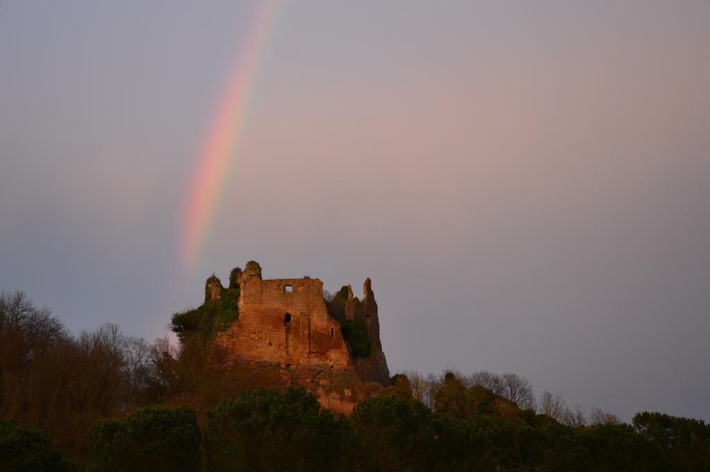 Fattoria Lucciano Villa Borghetto  Екстериор снимка