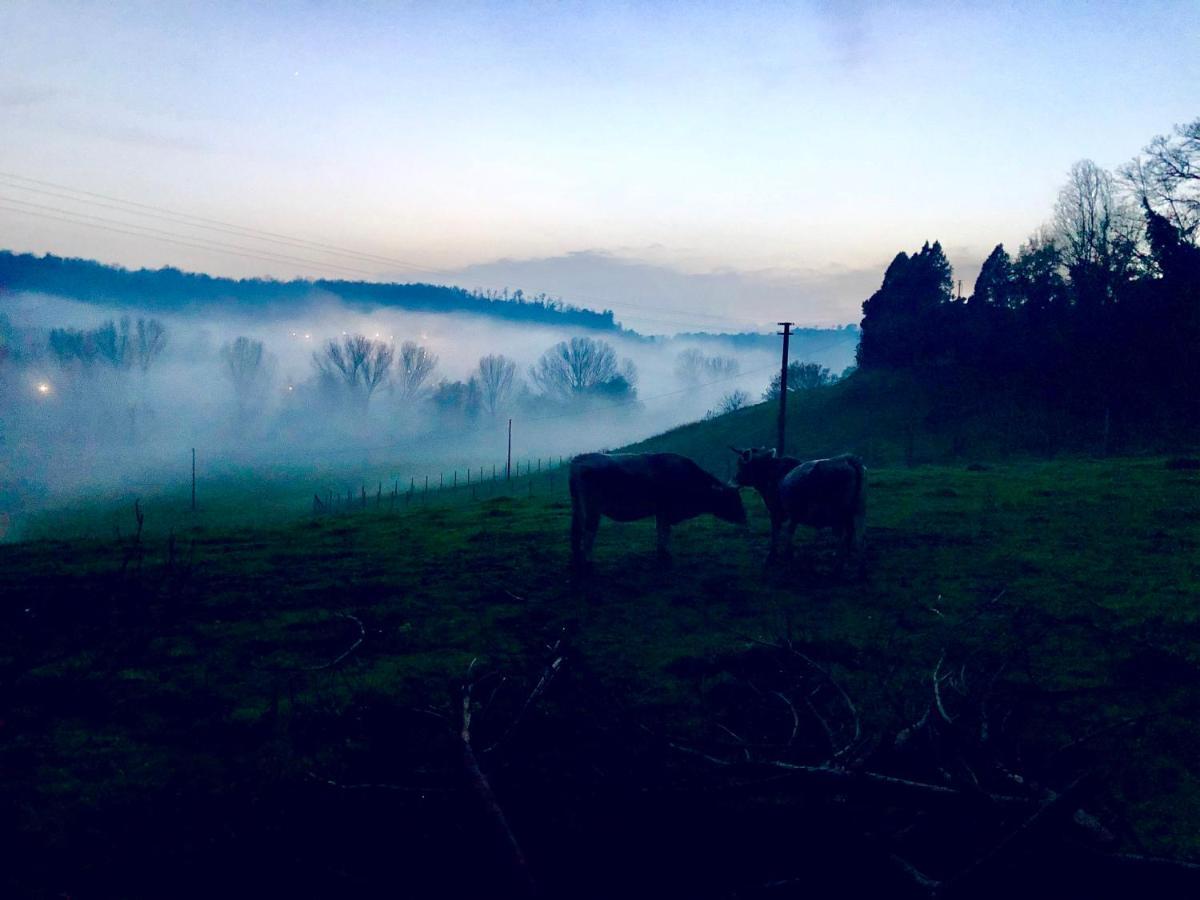 Fattoria Lucciano Villa Borghetto  Екстериор снимка