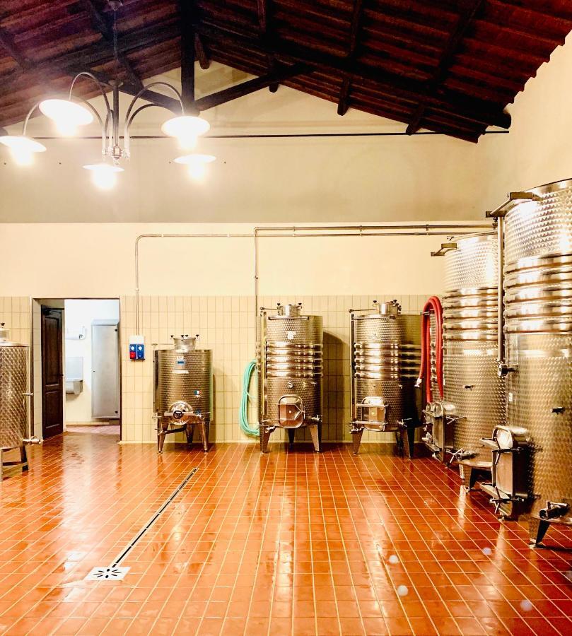 Fattoria Lucciano Villa Borghetto  Екстериор снимка